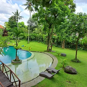 Tree House Ubud
